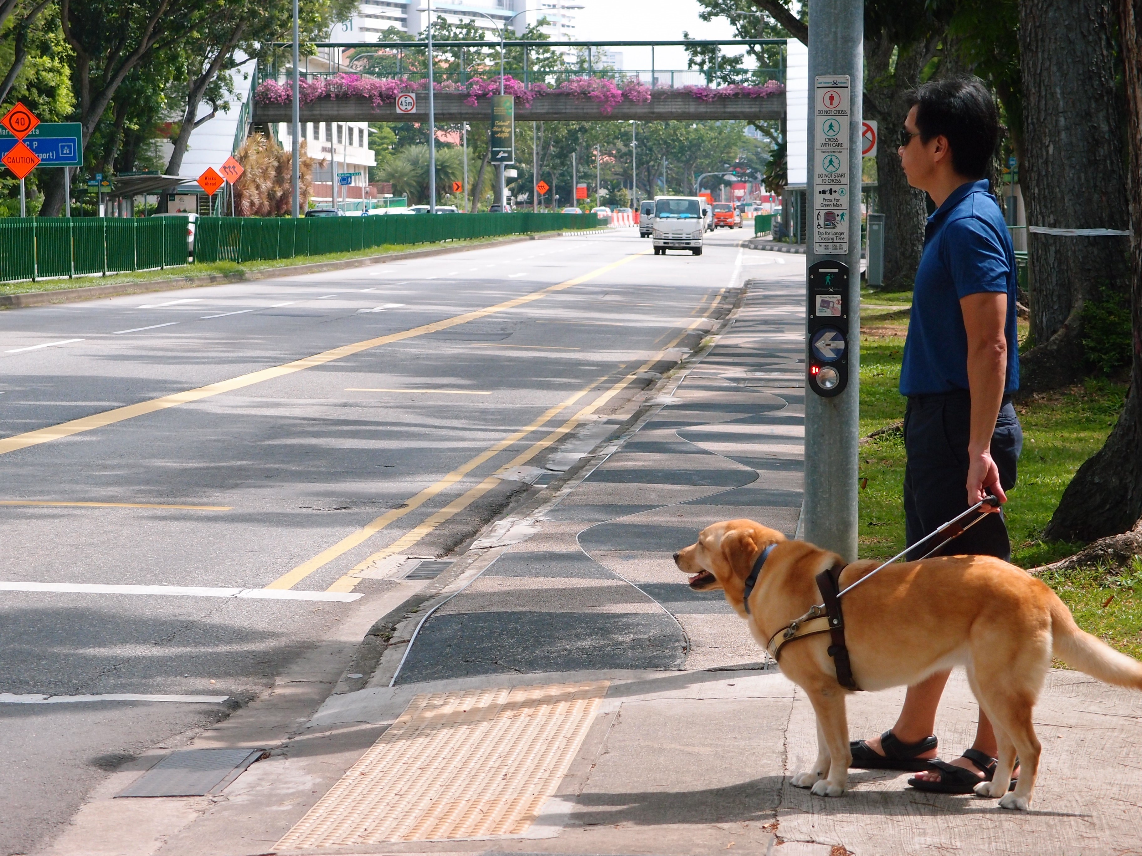 Stopping at traffic junctions and displaying Intelligent Disobedience